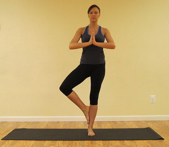 Vrksasana - Tree Pose — Yoga Alignment Guide